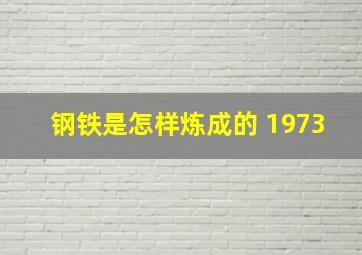 钢铁是怎样炼成的 1973